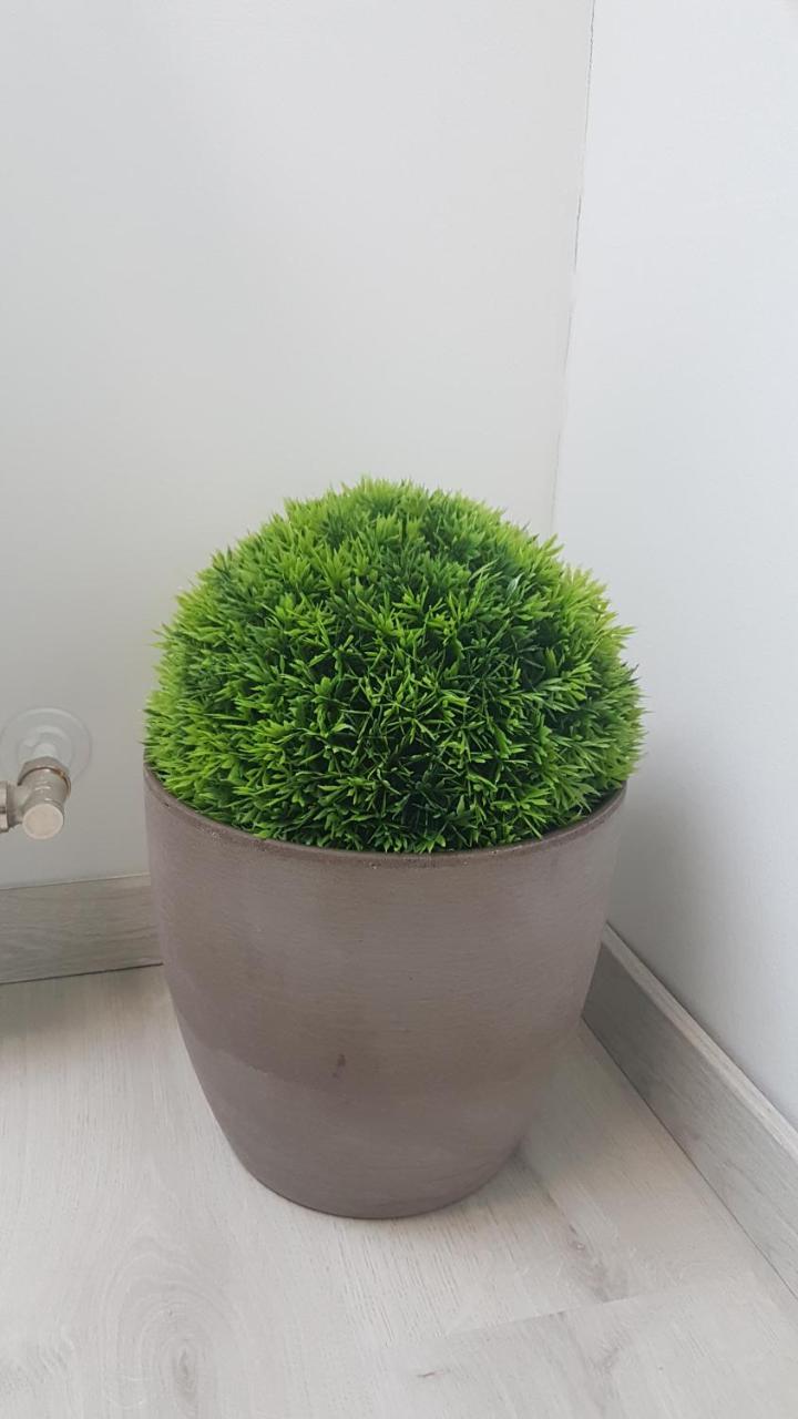 Promenad Apartman Mohács Buitenkant foto